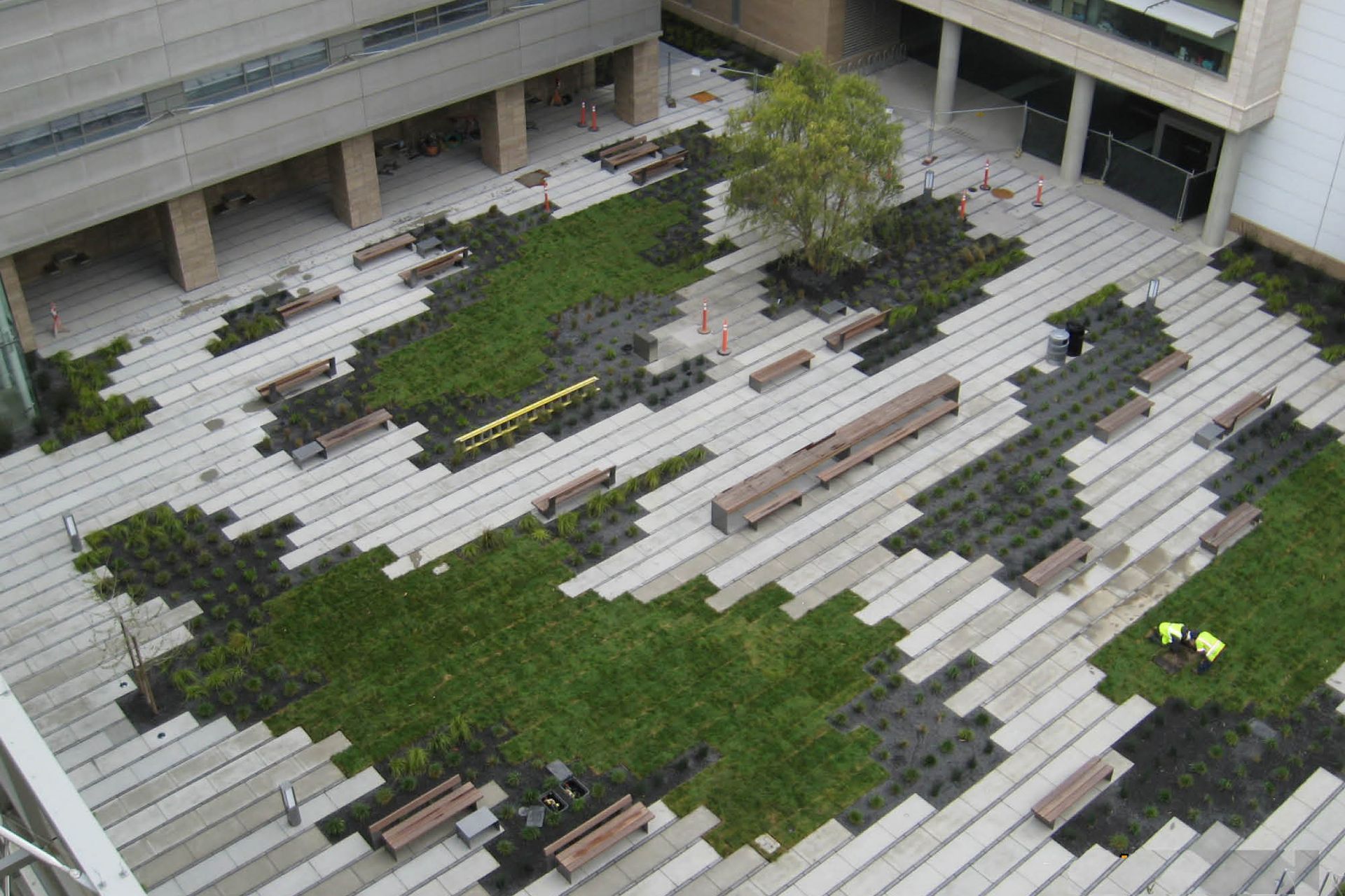 SmithCardiovascularResearchBuilding06.jpg