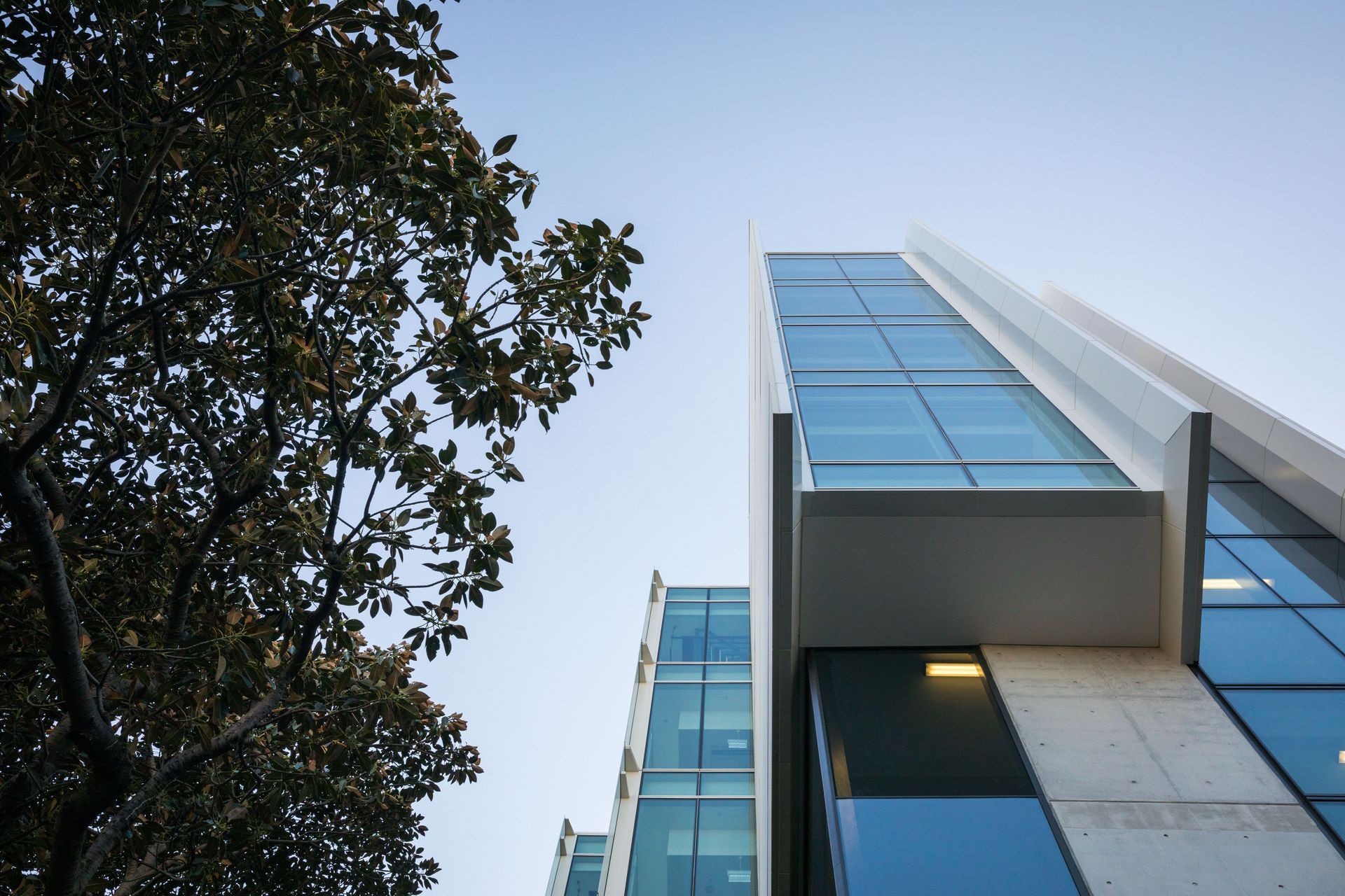 University of Sydney Life, Earth &amp; Environmental Sciences