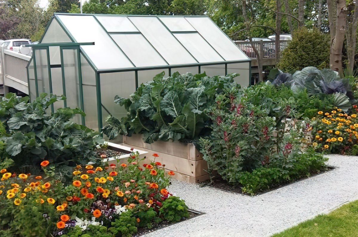 Mercy Hospital Productive Gardens