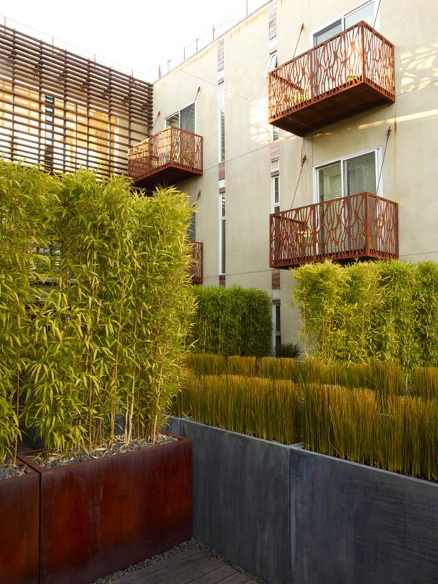Exterior courtyard view of a multi-storey residential building, featuring pale rendered walls, projecting balconies with intricate rust-coloured metal balustrades, horizontal timber screening, and layered landscaped planters filled with bamboo and ornamental grasses.