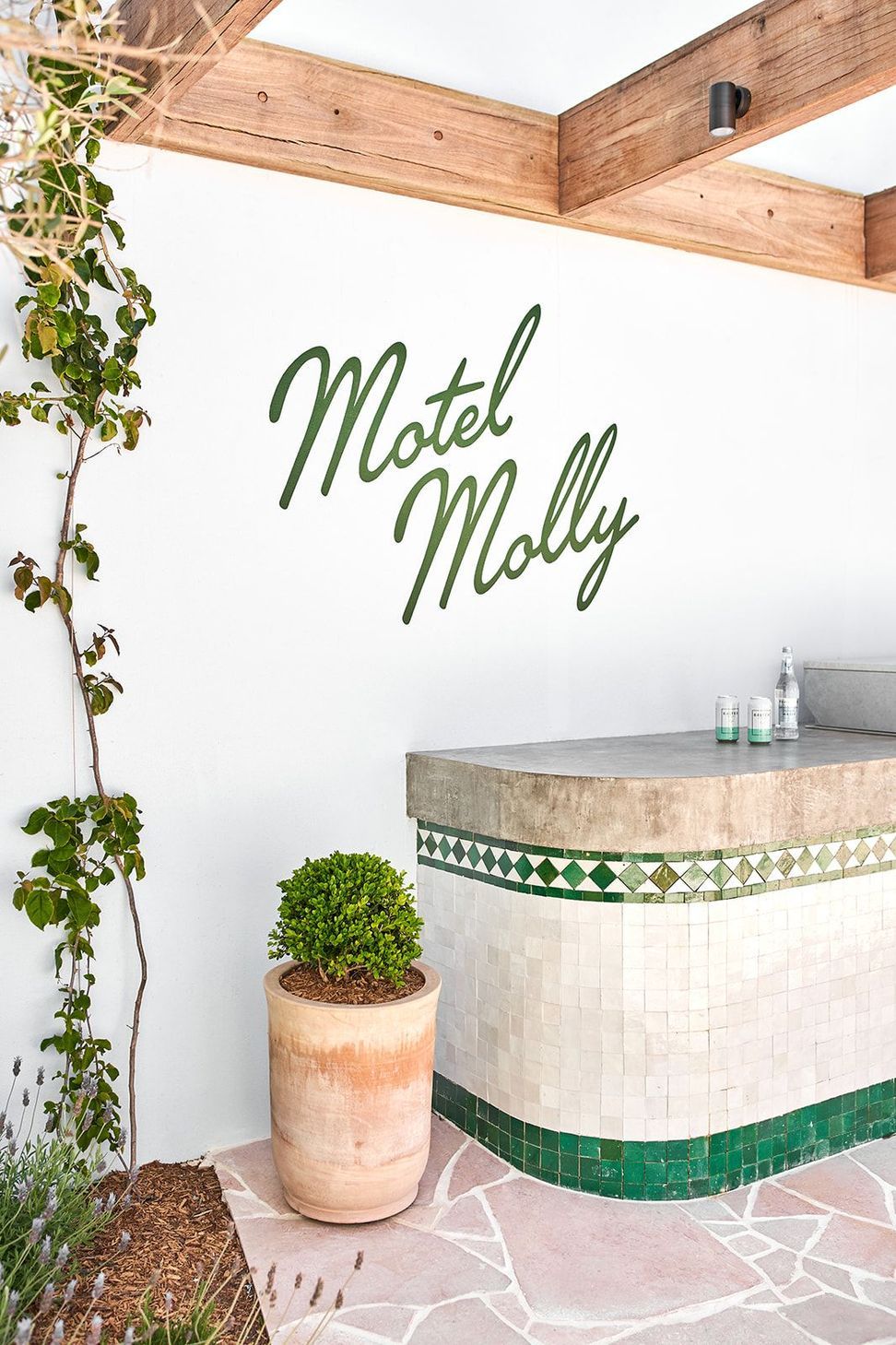 Motel Molly