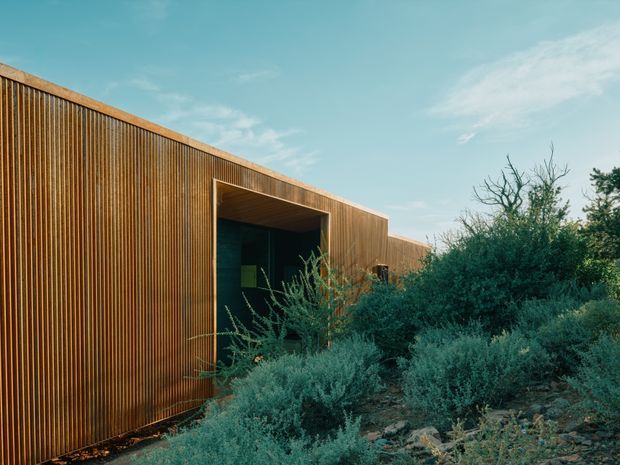 Exterior view of a low, elongated contemporary building with a strongly articulated vertical timber-clad facade and a deep recessed entrance. Dense drought-tolerant shrubs and rocky planting beds partially screen the building, while the simple flat roofline and dark glazing reinforce its minimalist character.