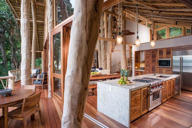 Open-plan kitchen and dining area in a tropical, tree-integrated timber home. The space features substantial exposed natural timber posts, a vaulted exposed timber roof structure, warm timber flooring and cabinetry, expansive glazing, pendant lighting, and a large pale stone kitchen island. Dining and lounge areas connect directly to the surrounding forested setting.