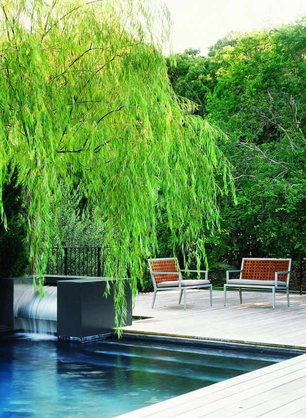 A landscaped outdoor pool area with a timber deck, dark rectangular water feature spilling into the pool, and two modern outdoor lounge chairs beneath mature weeping and leafy trees. The scene is lush, private, and tranquil, with strong greenery surrounding the pool and deck.