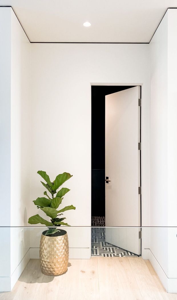 Bright minimalist interior hallway or entry area with white walls, pale timber flooring, crisp black trim outlining the ceiling, and a partially open white door leading to a darker tiled room. A potted fiddle-leaf fig adds greenery, while a glass balustrade or partition crosses the foreground.