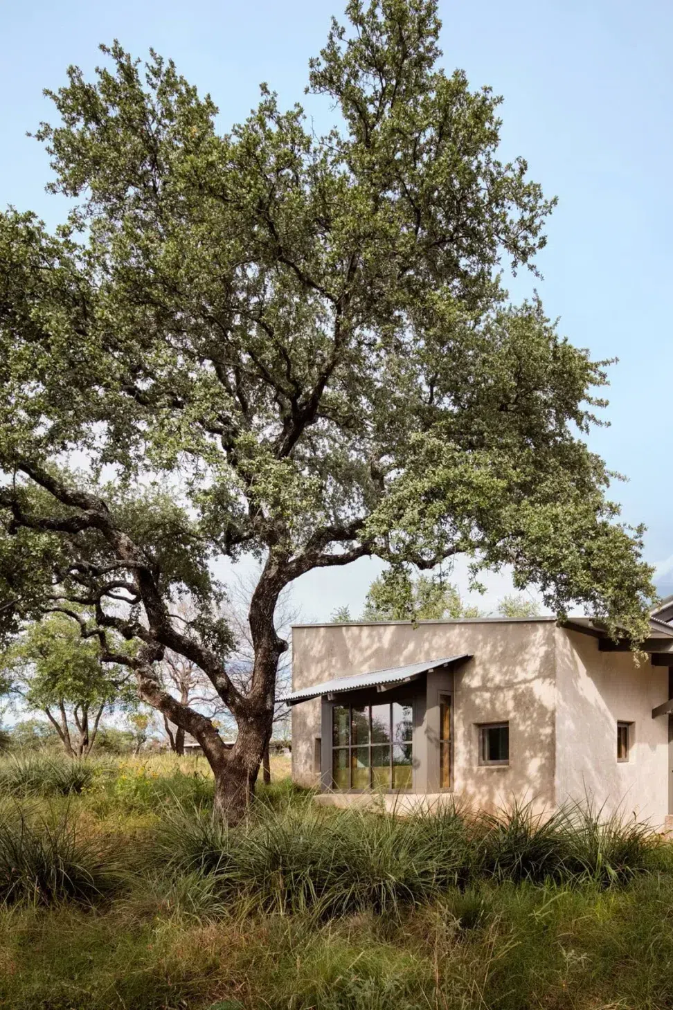 15-SFrances1811010896B.webp