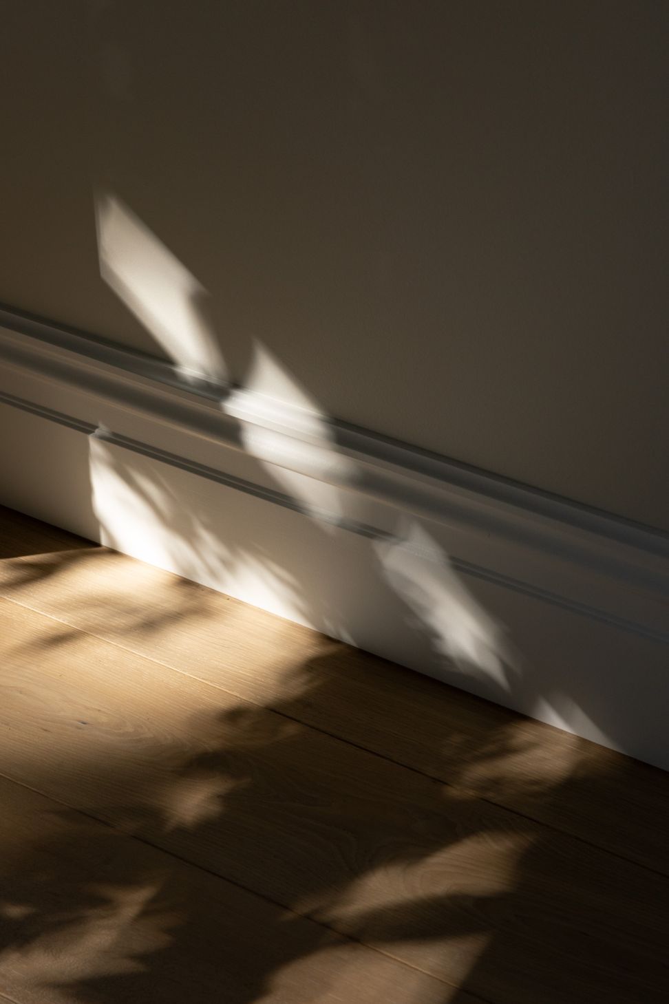 161A5998-v2.jpg
