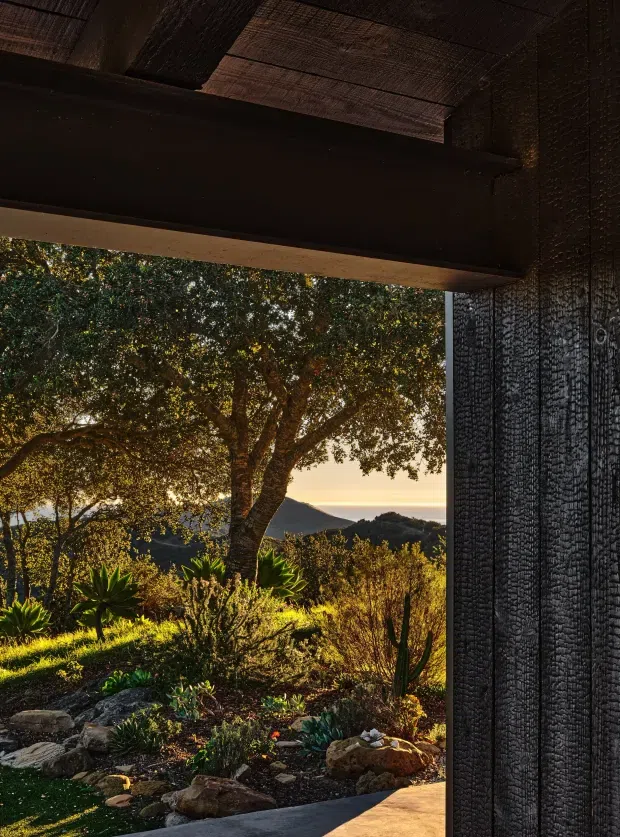 A dramatic view from beneath a dark, heavily textured architectural overhang or covered outdoor threshold, looking across a landscaped garden toward a large mature tree, rolling hills, and a warm sunset horizon. The structure features dark charred-looking textured wall cladding, a substantial dark horizontal beam, and a pale timber-like soffit edge. The scene has strong contrast between the shadowed shelter and the sunlit natural landscape.