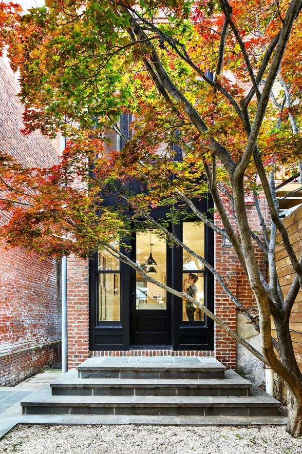 A narrow urban courtyard entry framed by mature autumn foliage. Red brick walls flank a raised entrance with broad dark stone steps, leading to a black-painted glazed door and sidelights. Warm interior lighting and pendant fixtures are visible through the glazing, while a timber privacy fence and pale gravel complete the foreground. The image has a layered, intimate streetscape character with strong seasonal colour.