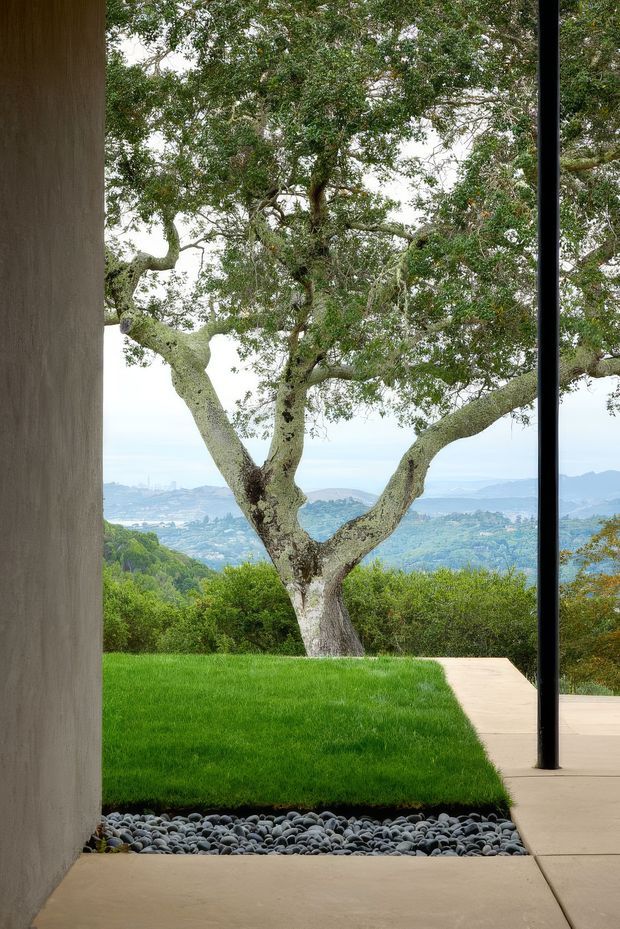 A minimalist architectural view from a covered outdoor passage or terrace toward a landscaped lawn and mature branching tree, with a broad elevated valley and distant hills beyond. Smooth rendered walls, slender black structural framing, pale concrete paving, and a strip of rounded dark river stones create a calm indoor-outdoor connection.