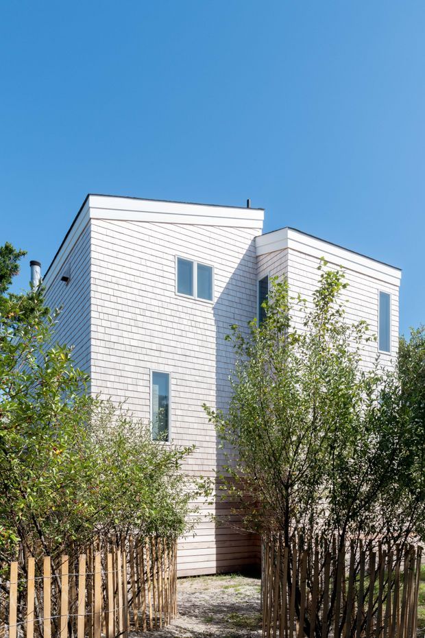 Exterior view of a contemporary multi-storey residence with two intersecting rectangular volumes, flat rooflines, white horizontal shingle-style cladding, and slim white-framed windows. The house is approached through a narrow gravel path bordered by timber picket fencing and dense planting under a clear blue sky.
