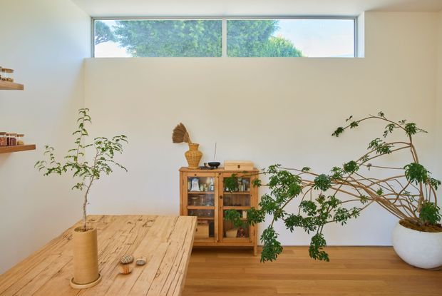 Bright, minimalist interior with white walls, high horizontal clerestory windows, and warm timber flooring. A large rustic timber dining table occupies the foreground, while a compact timber display cabinet and open wall shelving provide storage and decor. Several large indoor plants add an organic natural element to the calm, lightly furnished space.