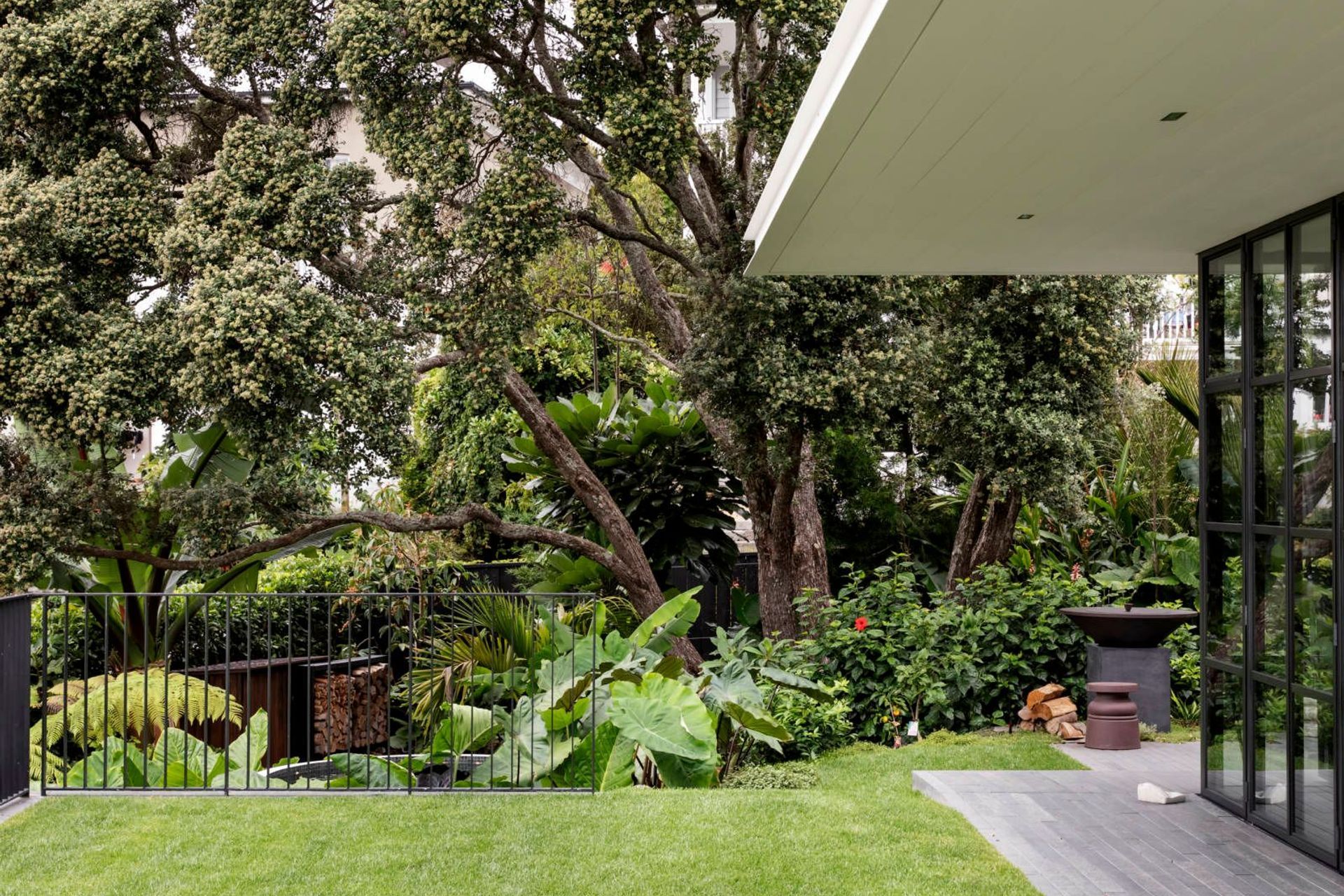 Under Ivy