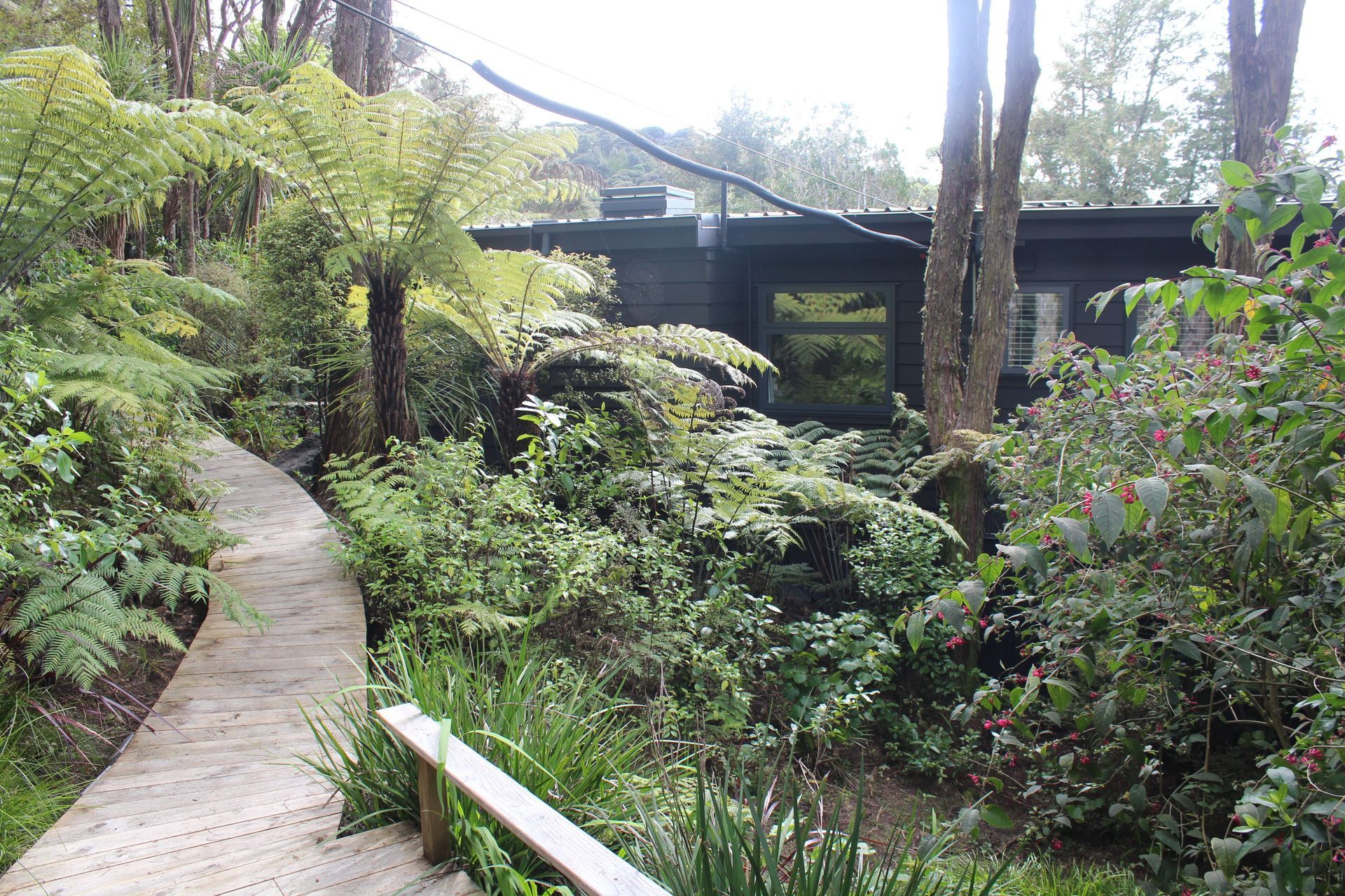 IMG1557-v2.JPG