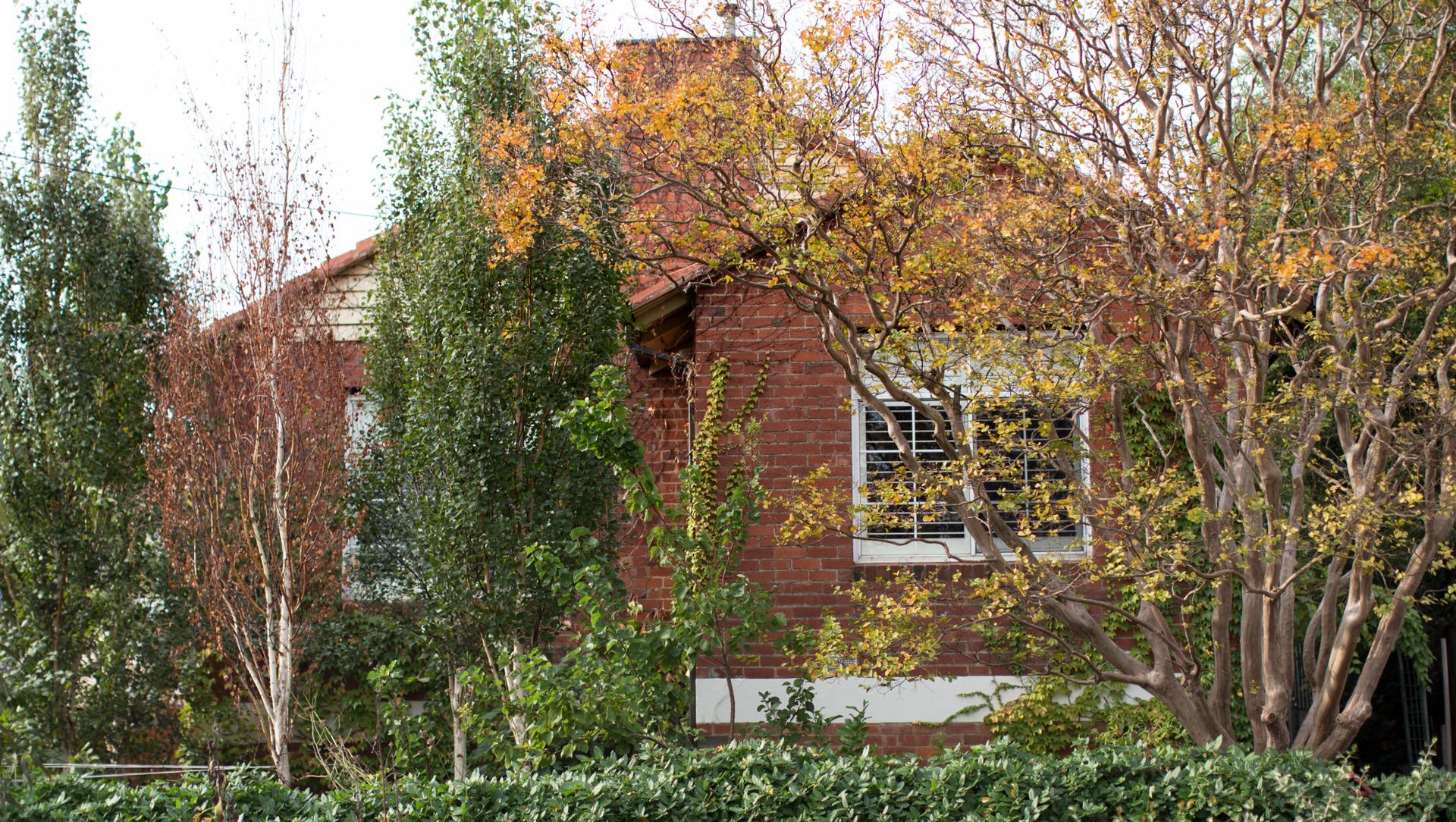 Julius St banner