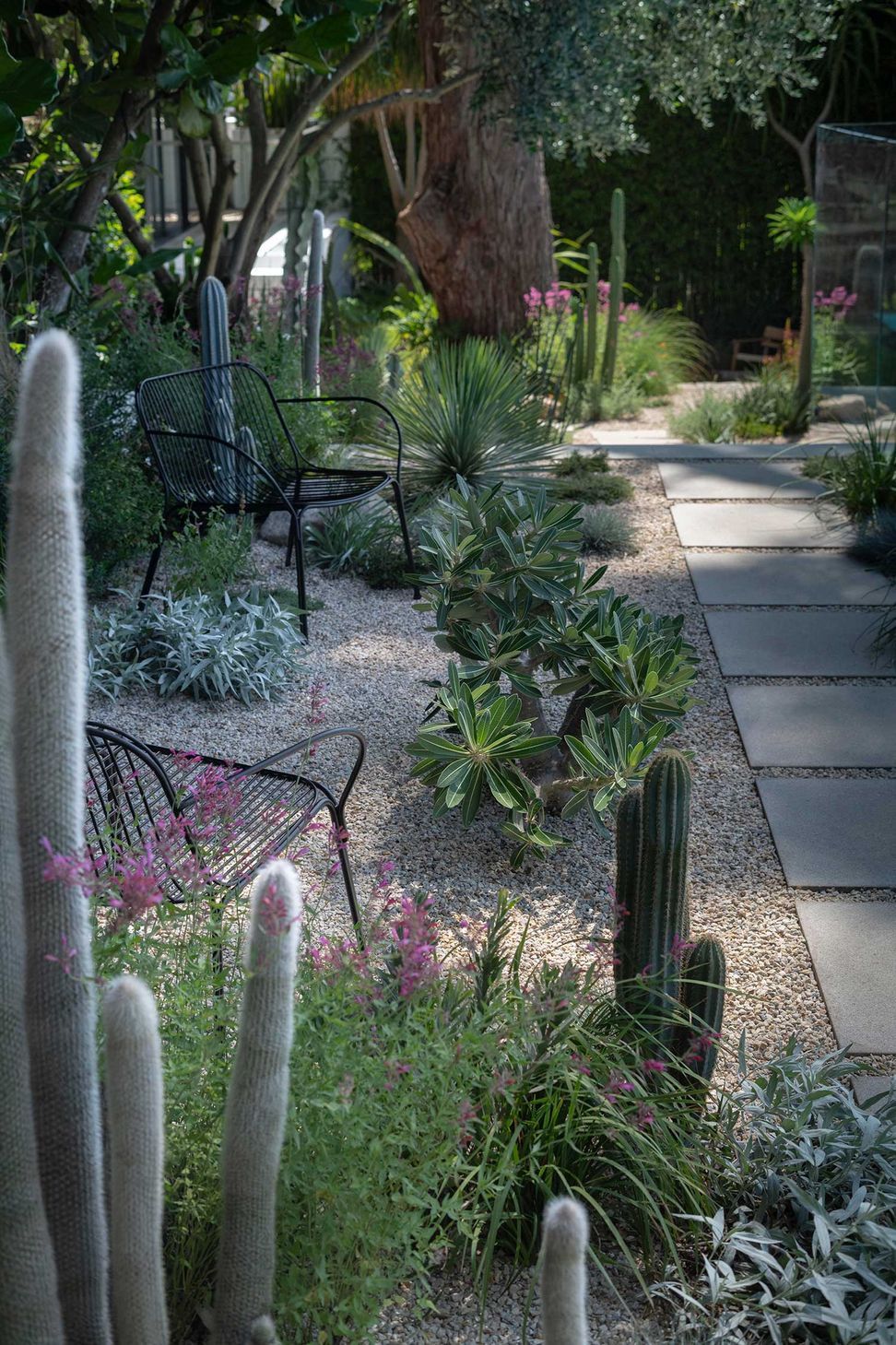 Landscape-Design-COURLAND-13-02-20251379.jpg