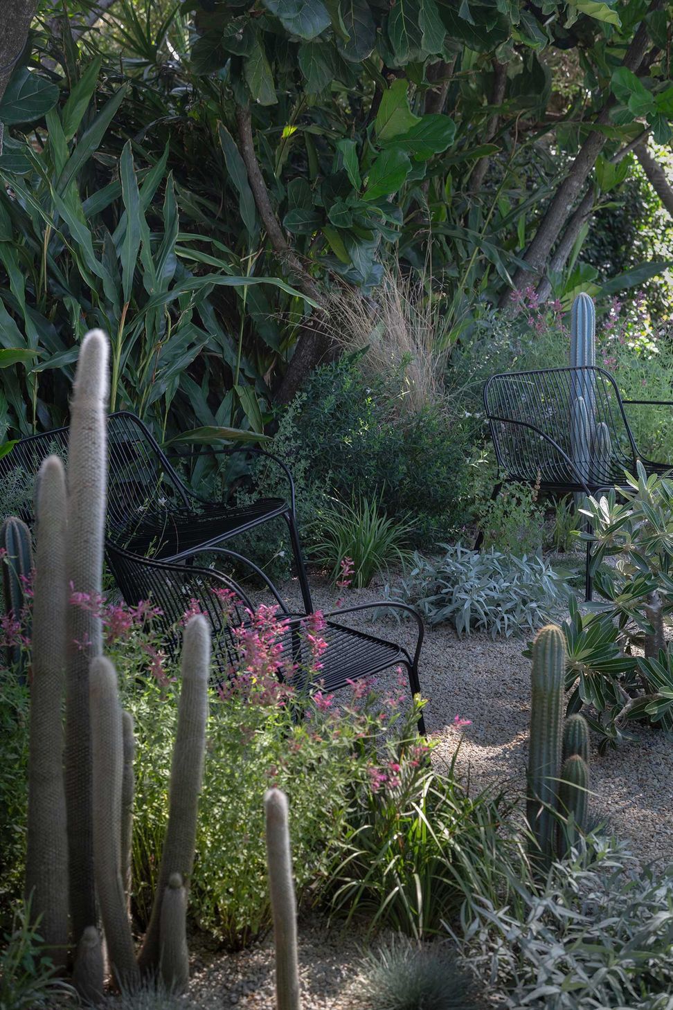 Landscape-Design-COURLAND-13-02-20251416.jpg