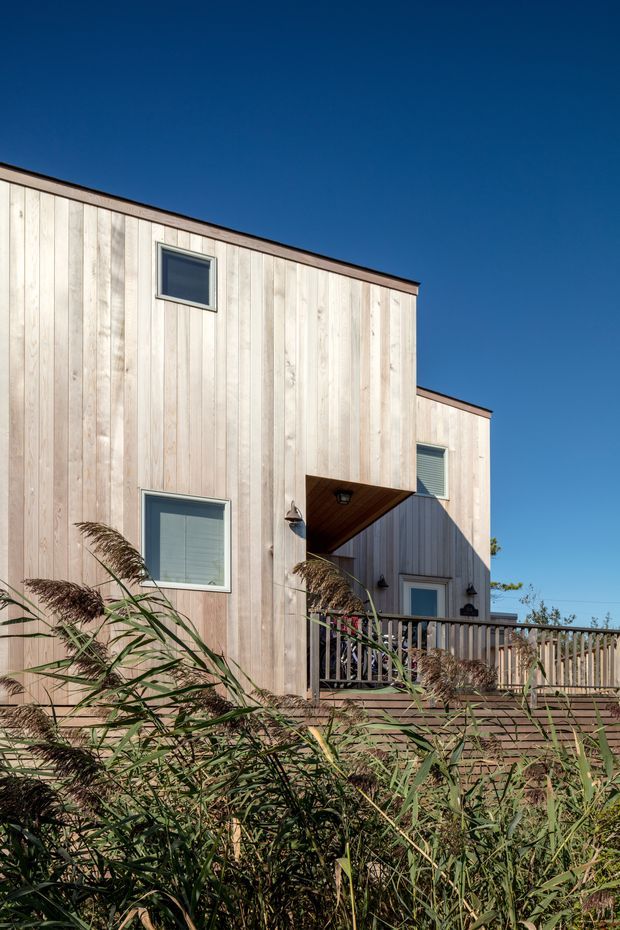 Exterior view of a compact multi-level building clad in pale vertical timber boards. The facade has simple rectangular windows, dark trim, a recessed entry beneath a projecting upper volume, and a timber deck with railing. Tall grasses occupy the foreground under a clear blue sky.