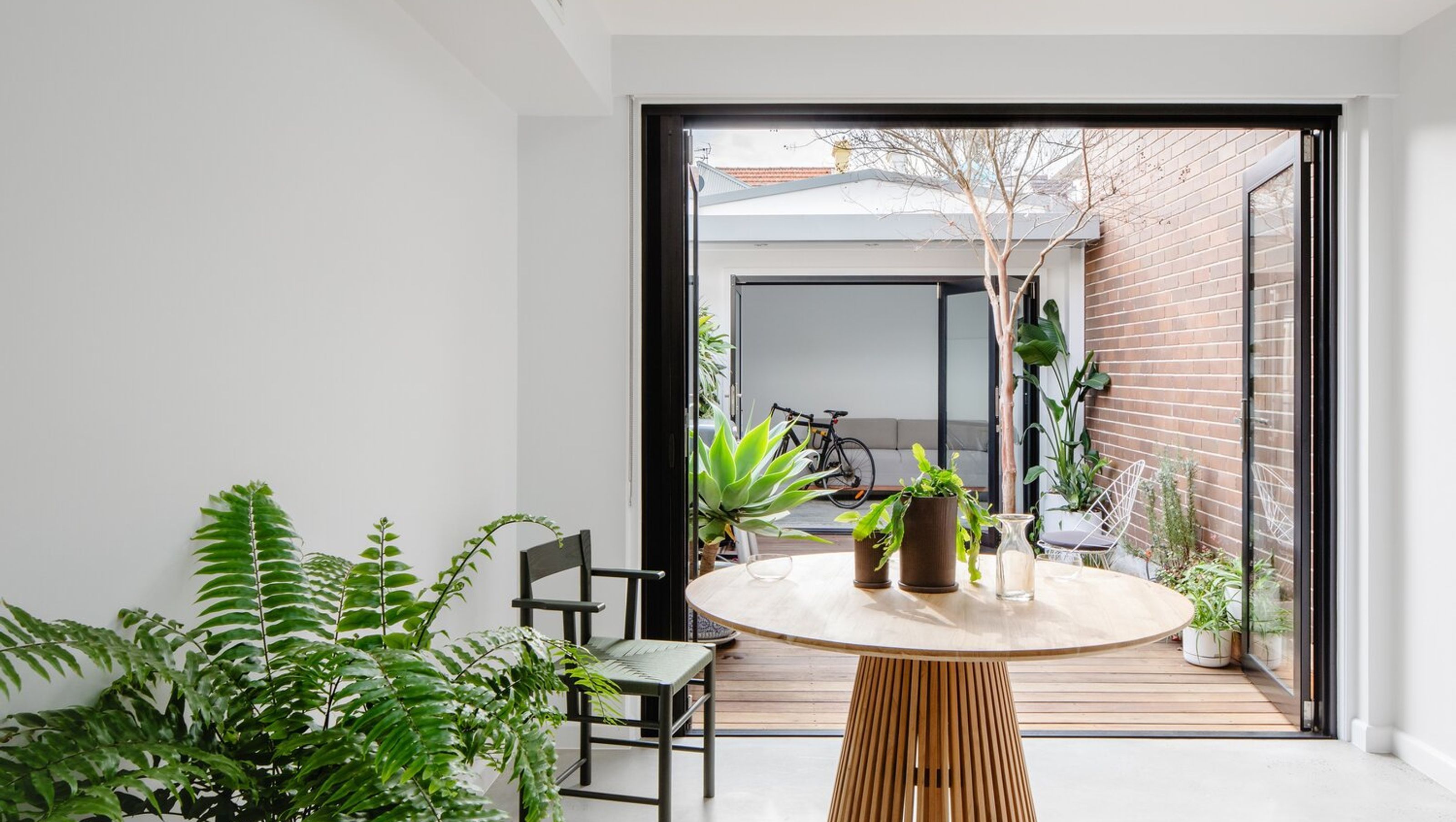 Paddo Terrace Paddington