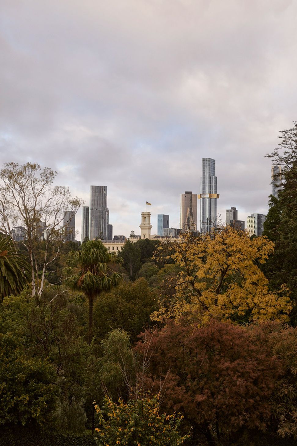 MIMDesignBotanicalHouse202504290046.jpg