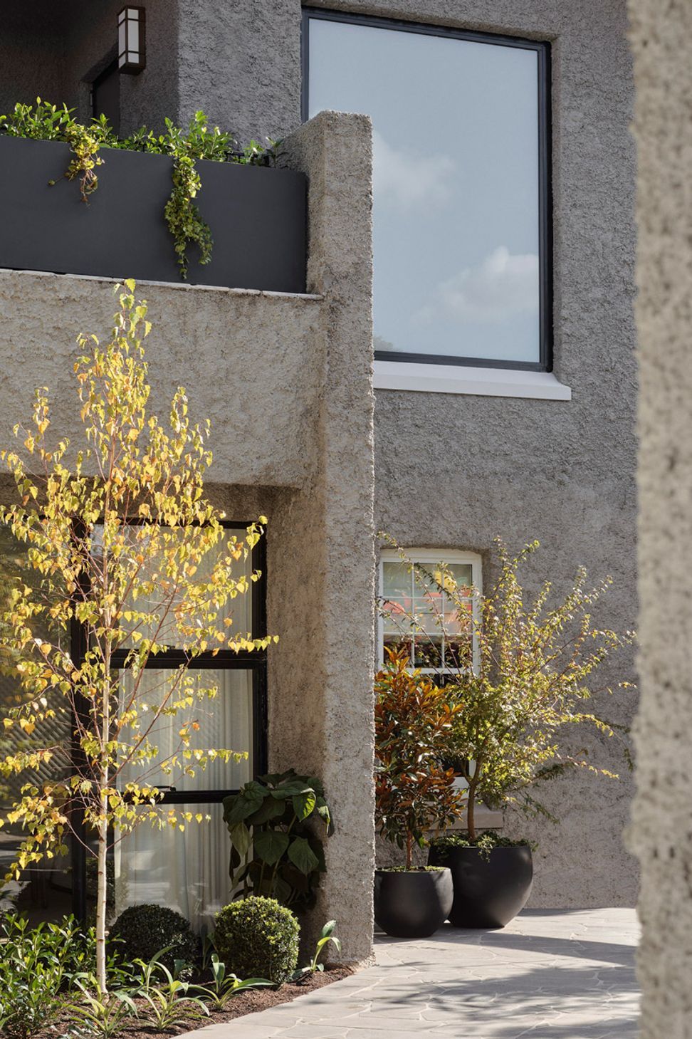 MIMDesignBotanicalHouse202504300081.jpg