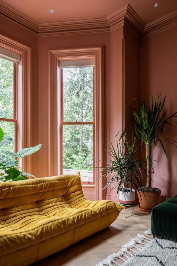 A richly coloured living room with terracotta-pink walls and ceiling, elaborate traditional crown moulding, and tall timber-framed windows with layered decorative trims. A mustard-gold tufted sofa dominates the foreground, accompanied by a dark green upholstered seat, large leafy indoor plants, light timber flooring, and a textured cream rug. The room is bright and warm, with views of trees through the windows.