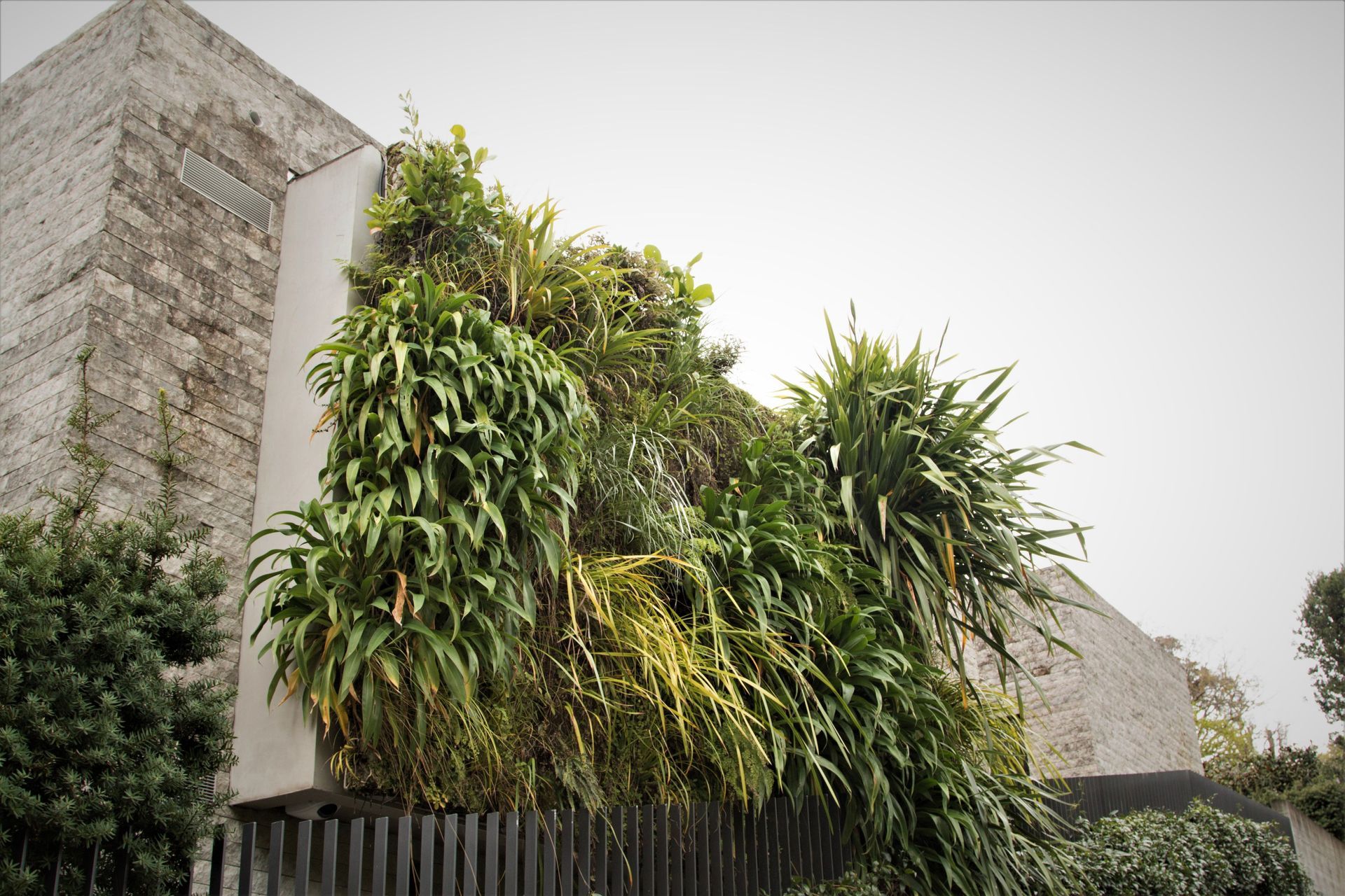 Parnell Green Wall