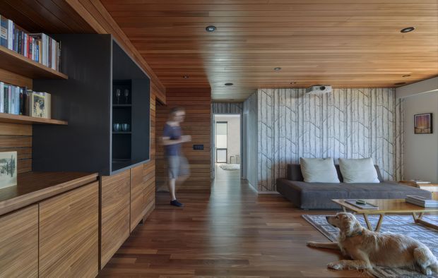 A warm, contemporary living room with extensive timber panelling and flooring, built-in timber cabinetry and open shelving, and a dark integrated media unit. A grey sofa sits against a pale patterned feature wall, with a glass coffee table and rug in the foreground. The timber-lined ceiling includes recessed lighting, and a hallway connects to other rooms in the background.