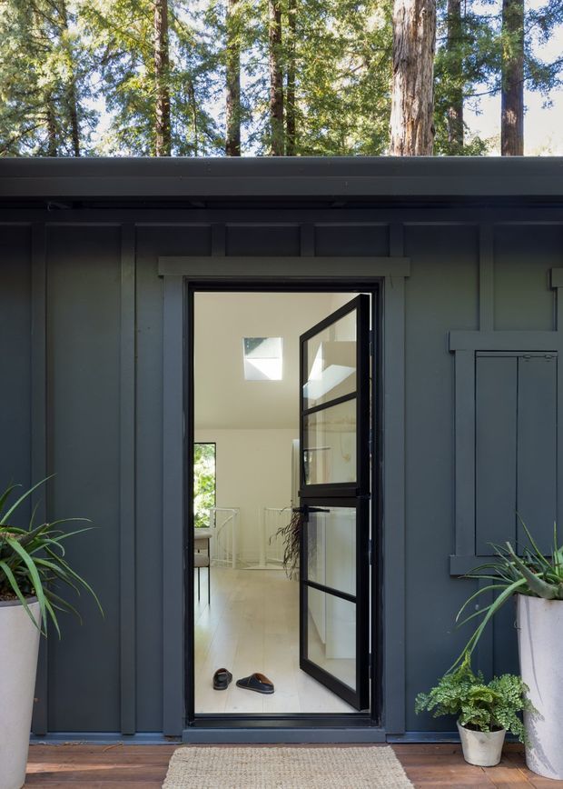 Exterior view of a dark charcoal-blue clad building with vertical board-and-batten detailing, a flat projecting roof edge, and a black-framed glazed door opening into a bright interior. Timber decking, potted plants, and surrounding tall trees frame the entrance.