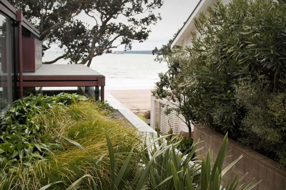 Takapuna Coastal Cocoon