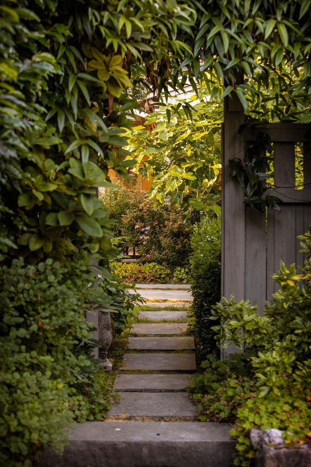 A narrow garden pathway made of rectangular concrete or stone stepping slabs leads through dense, mature greenery toward a timber garden gate. The path is enclosed by lush hedging, shrubs, climbing plants and flowering foliage, creating a secluded, layered garden entrance with warm filtered sunlight.
