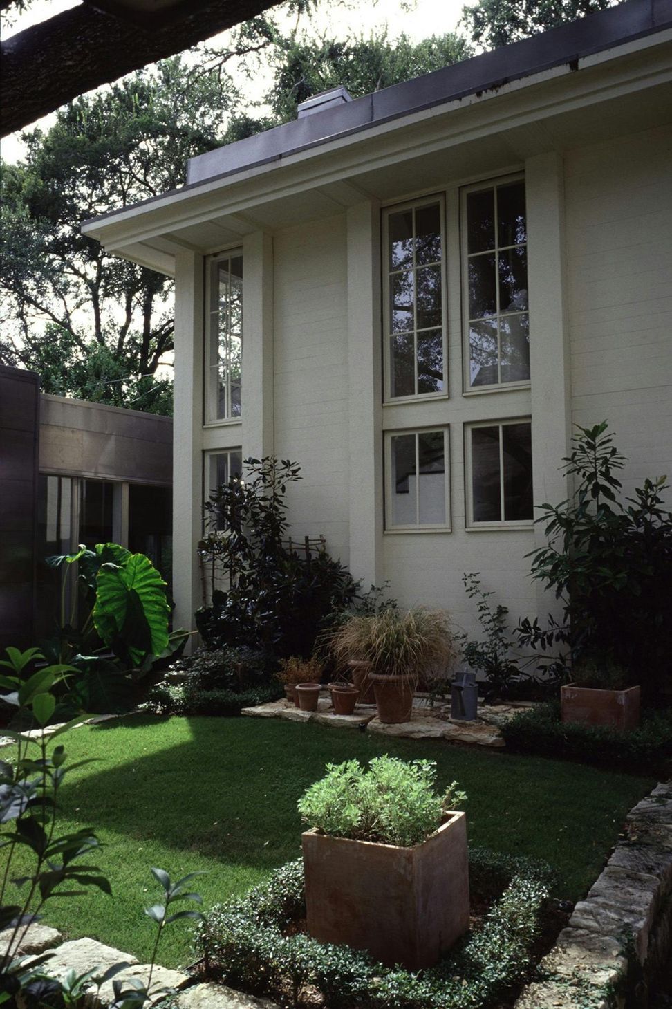 backyard3.jpg