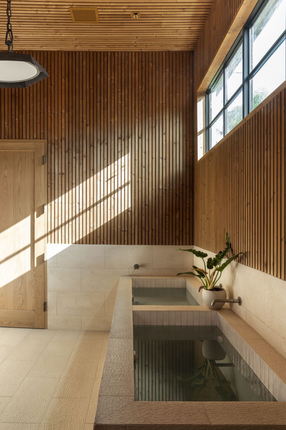 cravotta-interiors-west-austin-recovery-room-teak-limestone-cold-plunge-sauna-austin.jpg