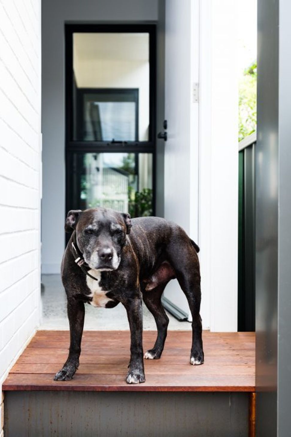 MARRICKVILLE RESIDENCE