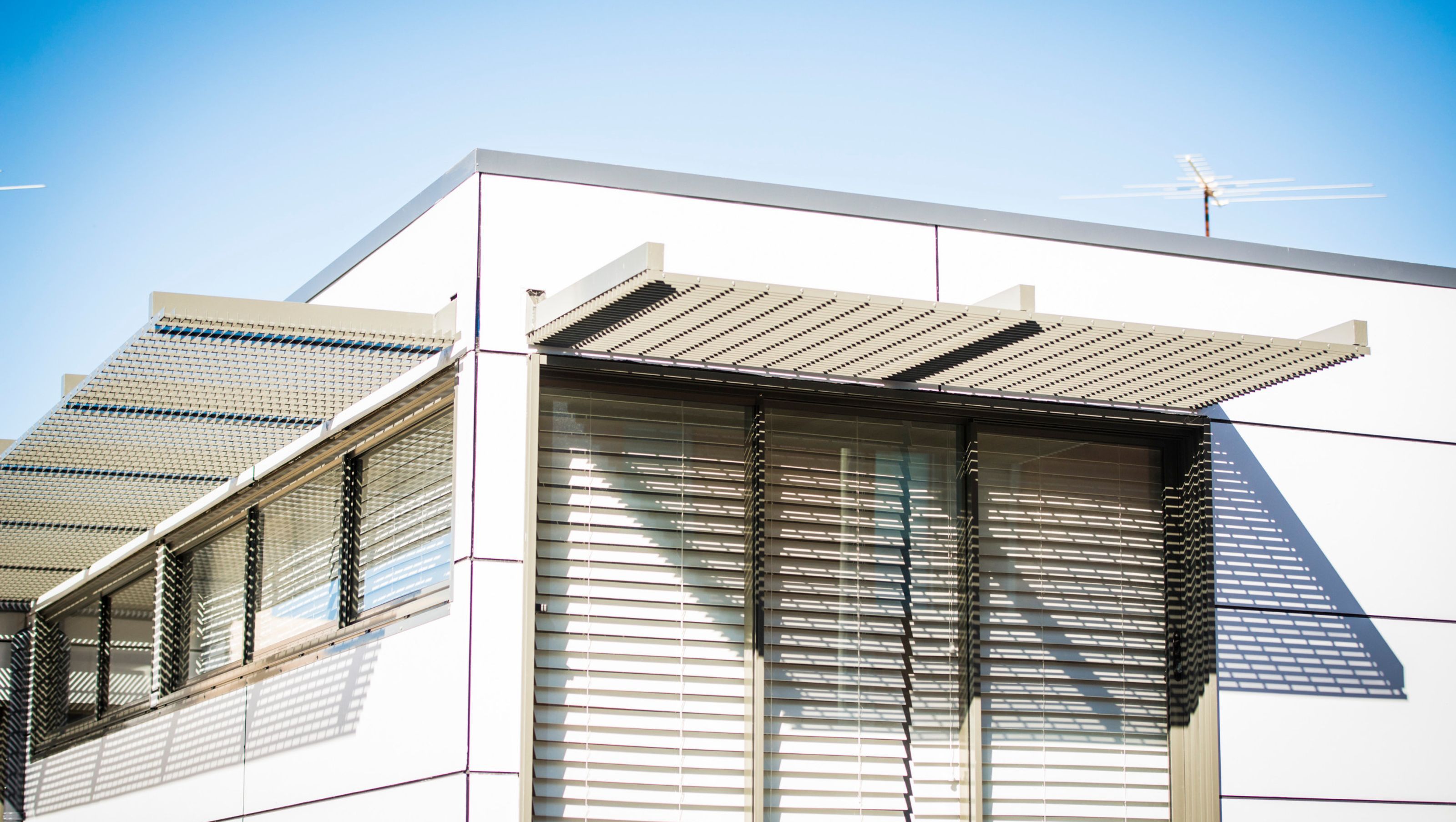Birchgrove Renovation