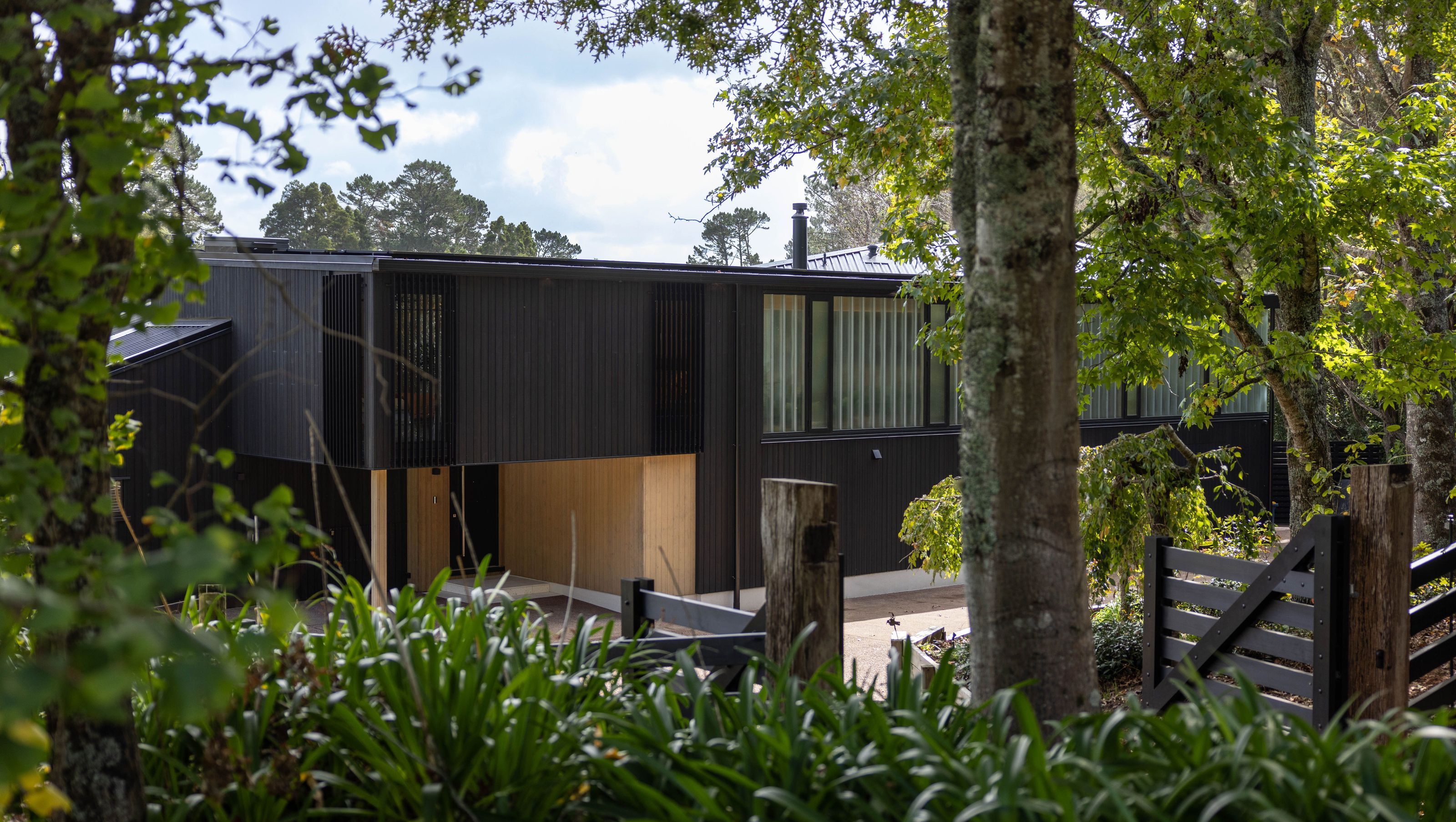 Kauri house