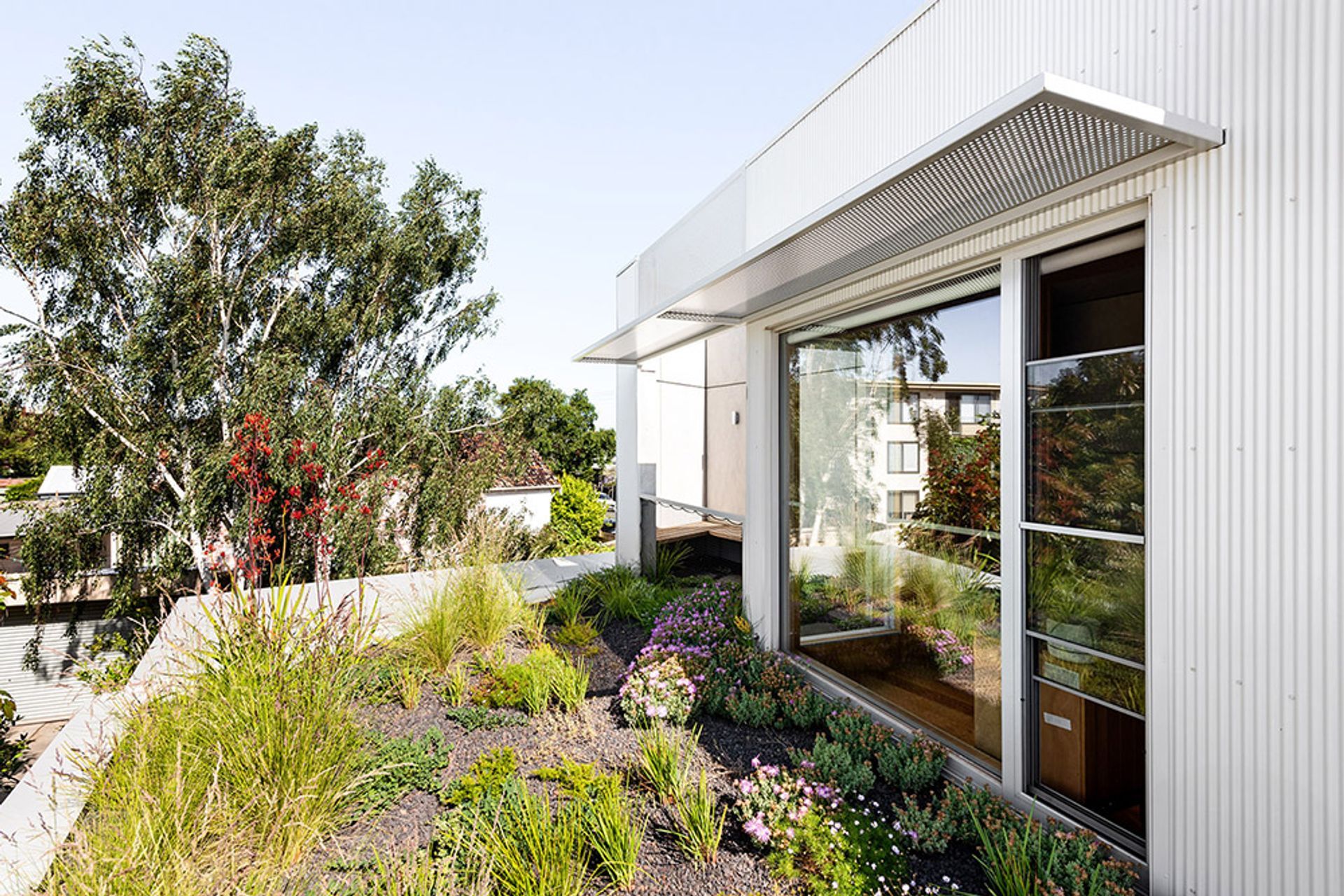 Ascot Vale