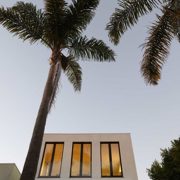 Exterior architectural photograph showing a modern, box-shaped building facade beneath tall palm trees. The pale rendered facade has three tall, narrow dark-framed windows with warm interior light visible through the glazing. The image is framed upward against an overcast sky, with surrounding vegetation at the edges.