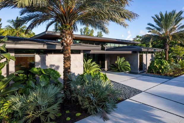 Single-storey contemporary residence viewed from the landscaped front approach, with a low horizontal roofline, broad dark-framed glazing, pale rendered walls, and a covered entry. Tropical palms and lush sculptural planting surround large light-coloured concrete or tiled paving, with a contrasting dark gravel garden bed.