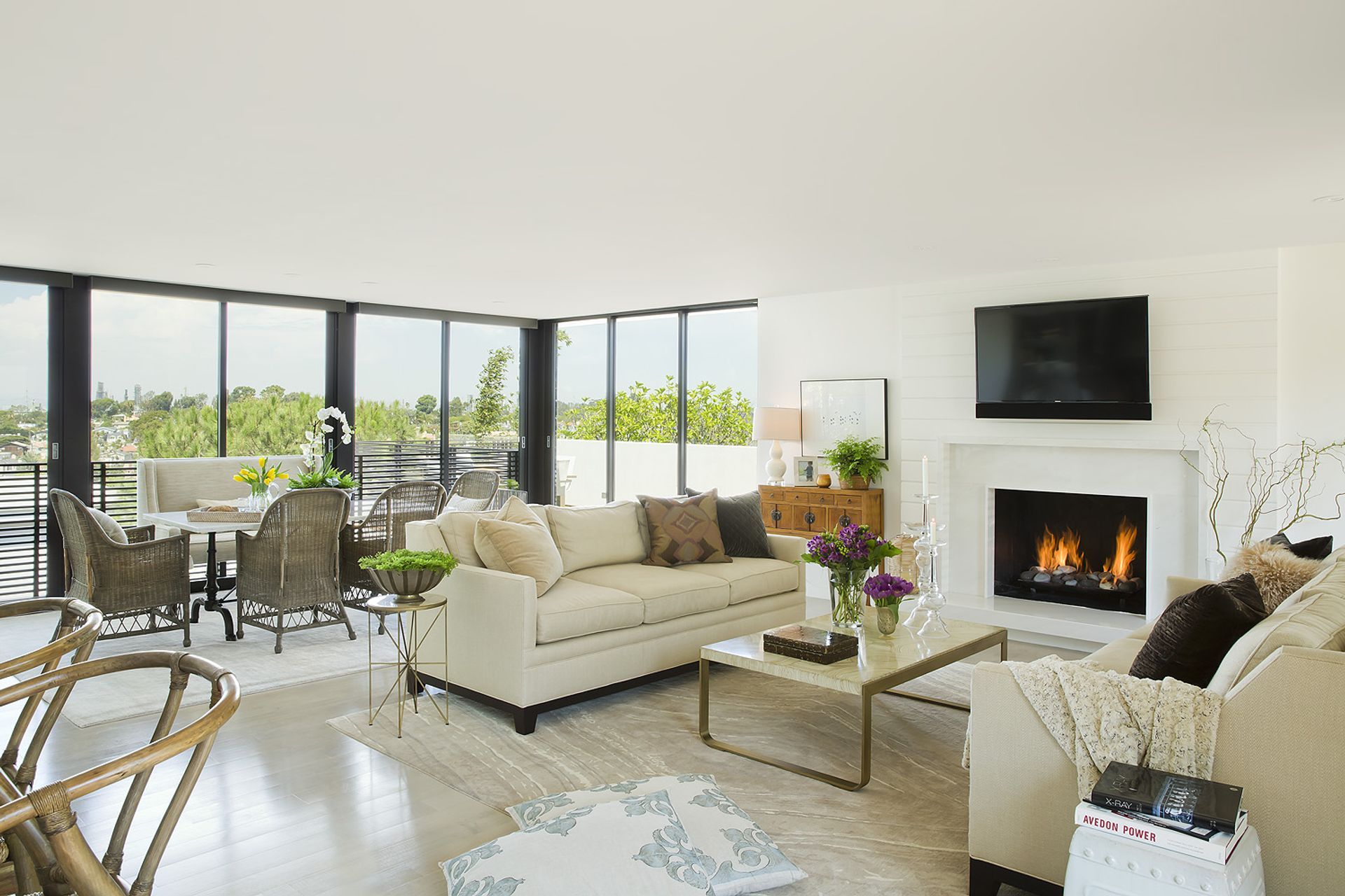 imgi176006-Interior-fireplace-view.jpg