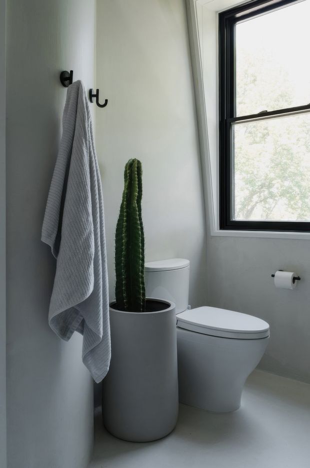 A compact, minimalist bathroom with a white toilet, a tall potted cactus, and a pale grey towel hanging from black wall hooks. The room has smooth light grey walls and floor, a black-framed window, and a simple wall-mounted toilet-roll holder. Natural daylight creates a calm, restrained atmosphere.