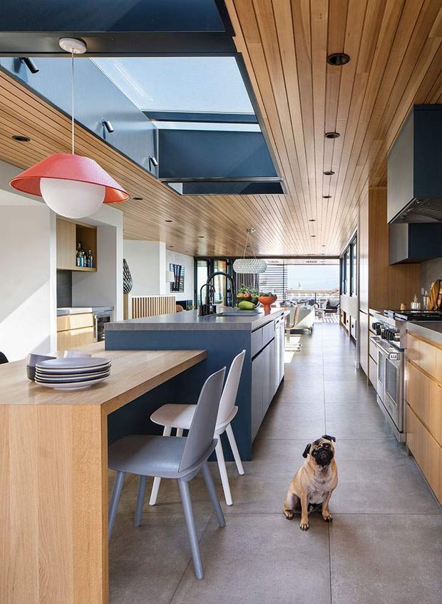 Bright contemporary open-plan kitchen with a long central island, integrated appliances, timber-lined ceiling and cabinetry, dark blue joinery, and large overhead skylights. The kitchen opens toward a dining and living area with expansive glazing and a distant water view. A small dog is present on the tiled floor.