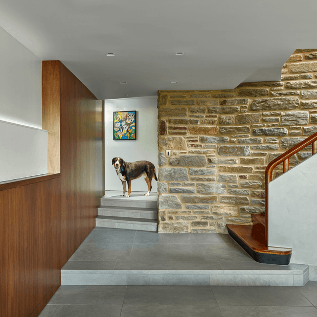 A refined interior stair hall with broad grey tiled steps and flooring, a prominent exposed natural-stone feature wall, dark timber wall panelling, and a sculptural timber stair handrail. A small artwork and dog occupy the upper landing. The space has a low, clean white ceiling with recessed lights and a restrained palette of grey, brown, and warm stone.