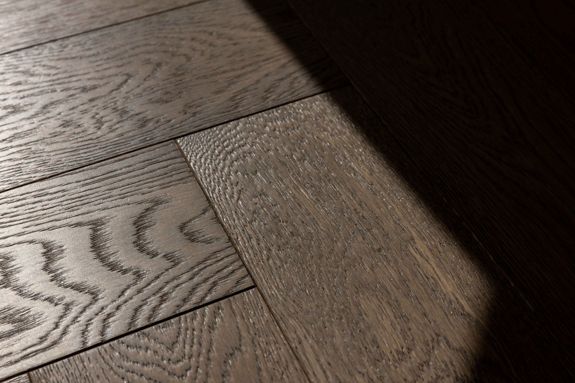 shadow.jpg