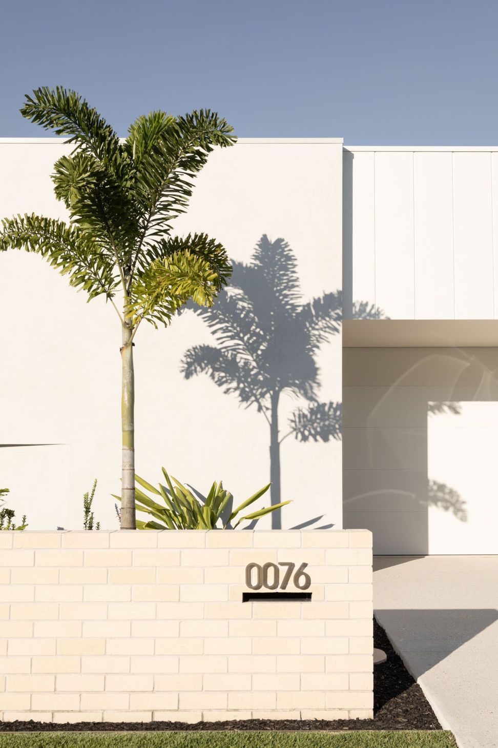 Warrego - Garden. Palm shadows across a white rendered wall.