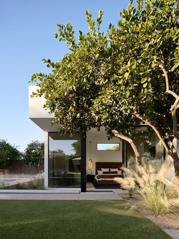 A modern single-storey house viewed from a landscaped garden, with a flat roof, crisp white walls, extensive floor-to-ceiling glazing, and a bedroom visible through the open glass frontage. A mature citrus tree and ornamental grasses frame the facade, while a neatly clipped lawn and paved terrace lead toward the home. The bedroom features a timber headboard, low bed, and contemporary pendant lighting.