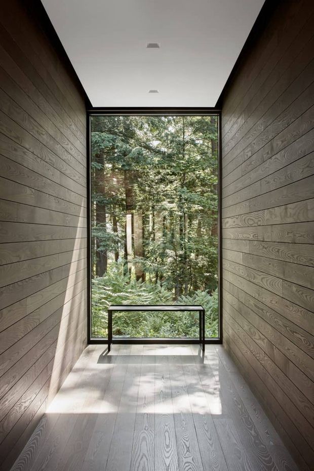 A narrow, minimalist interior passage or landing with matching horizontal timber wall cladding and pale timber flooring. A full-height black-framed glazed opening at the end overlooks dense forest, while a simple dark metal bench sits in front of the window. The space has a clean white ceiling with recessed lights and strong natural light creating a calm, nature-connected atmosphere.