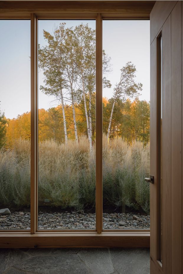 A warm, minimalist interior view through tall floor-to-ceiling timber-framed glazing and an open timber door. The view looks onto a landscaped garden with pale grasses, birch trees, autumn foliage, and a pebble-covered strip. Large irregular natural stone floor slabs are visible inside, with a simple wood-lined wall and ceiling.