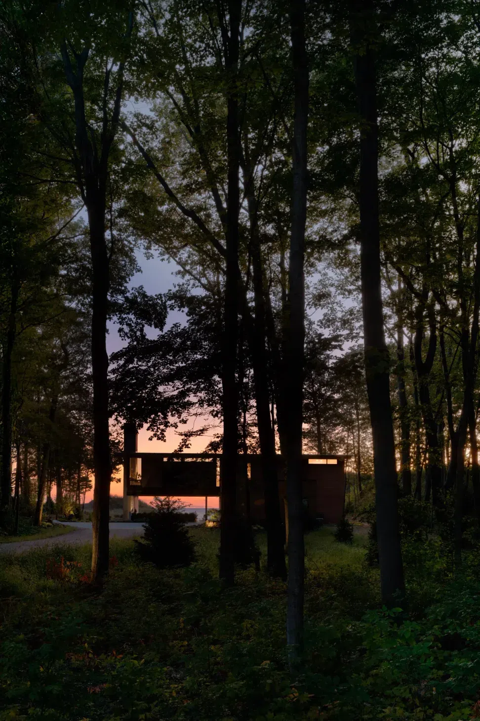 DSCF3491-Edit.webp