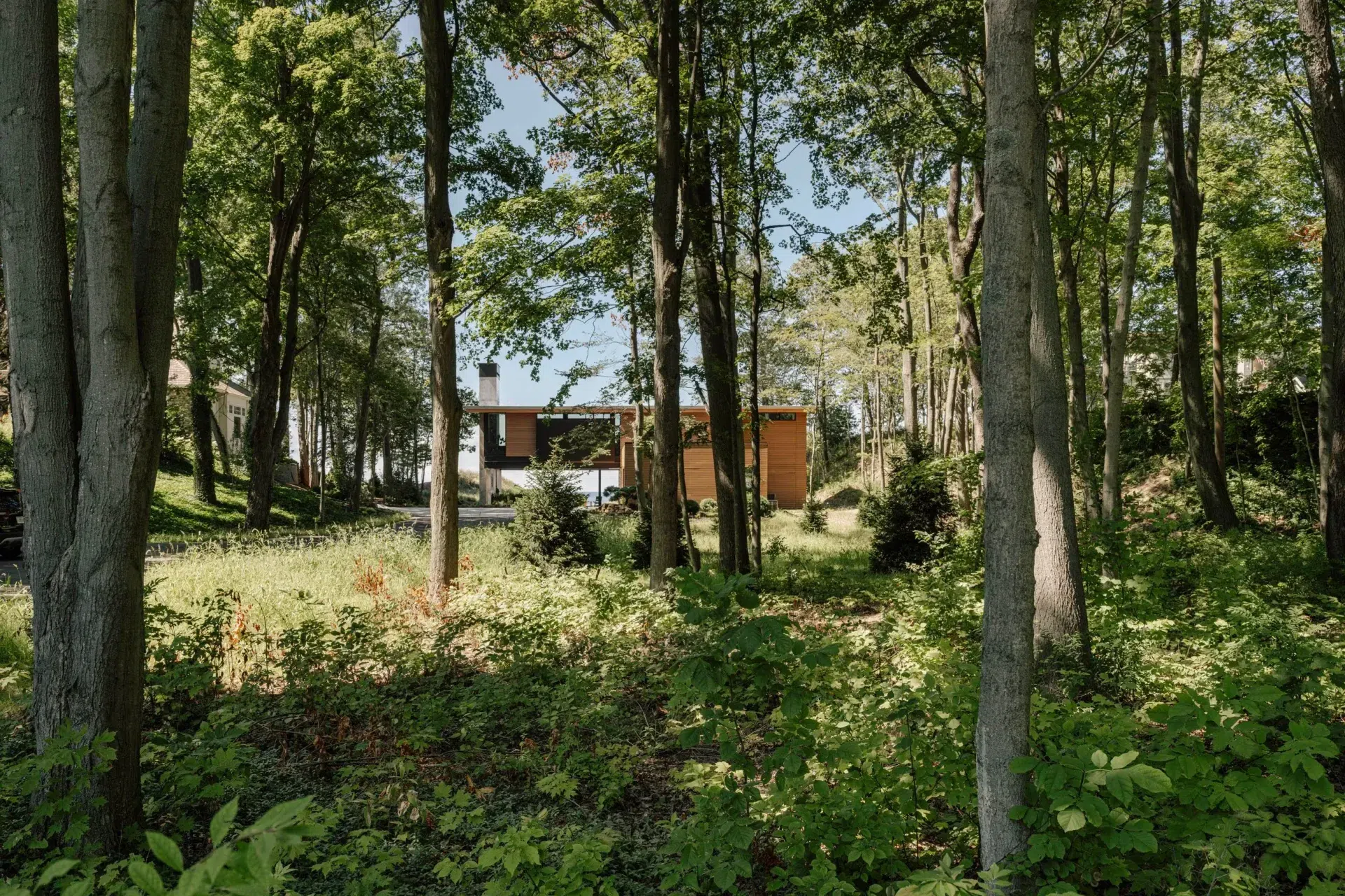 DSCF8993.webp